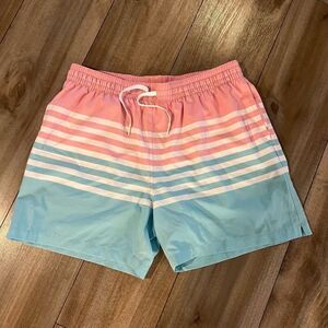 Chubbies Stripe Pattern Casual Swimwear Men‎ Large Bin L-29